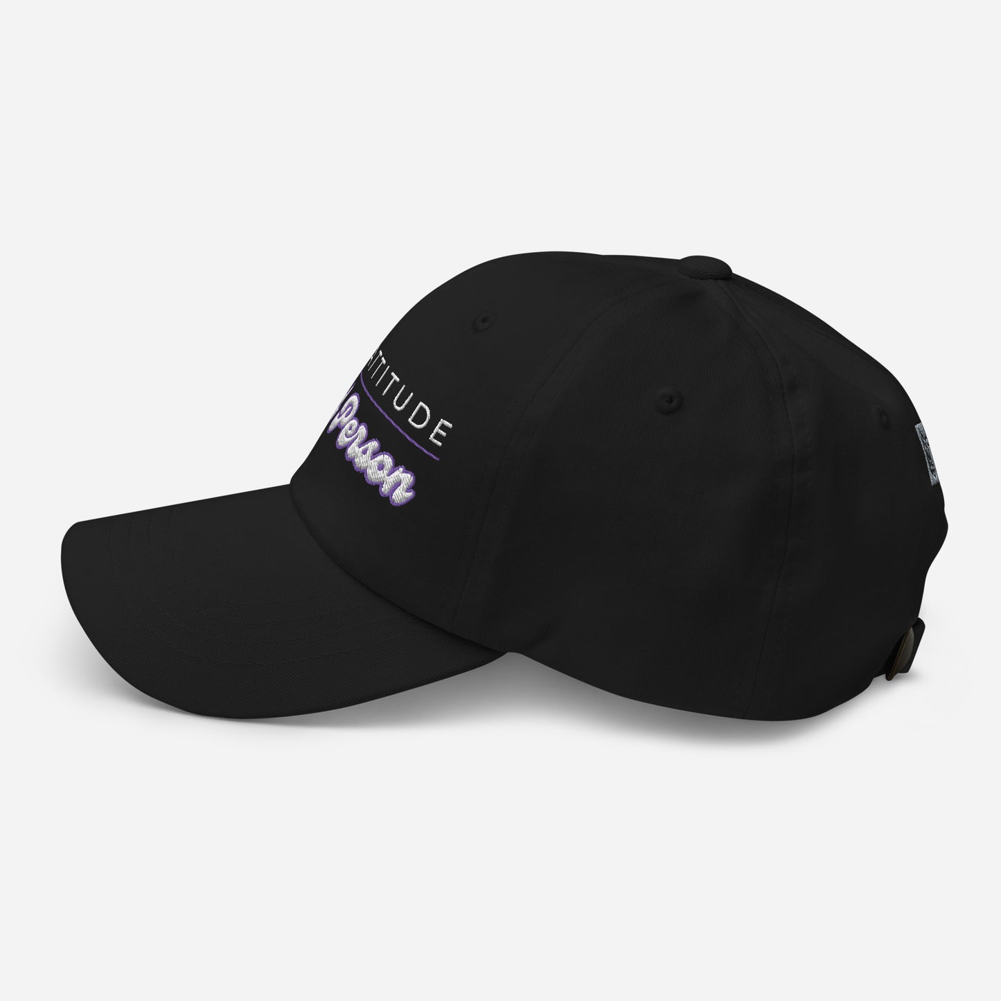 Bad Attitude Good Person hat
